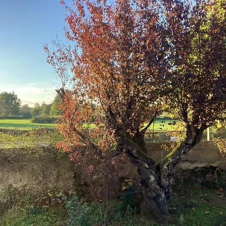 Charming By River Allier Dom wakacyjny