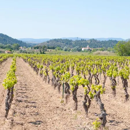 Charming By River Allier Hiking Trails Hébergement de vacances